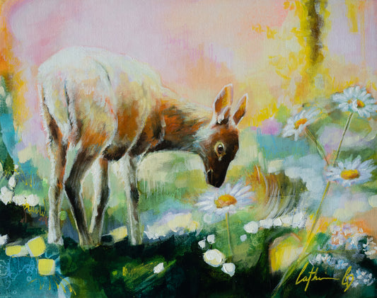 Jeune daim parmi les marguerites | Acrylique 11"x14"